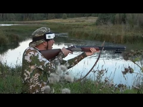 Видео: Охота на утку #17 Первая охота Моники