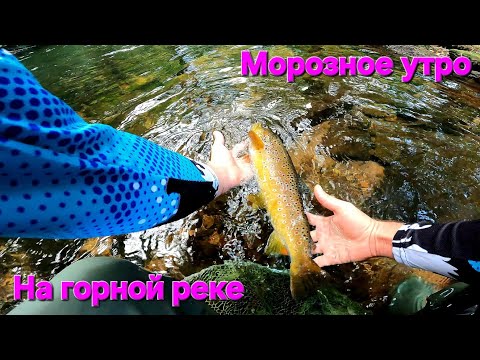 Видео: Ловля дикой Форели на спиннинг! Разбор мест и приманок на Форель! #спиннинг #рыбалка #форель