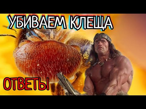 Видео: ВАРРОАТОЗ , ПОЧЕМУ ИСПАРИТЕЛЬ, ответы.