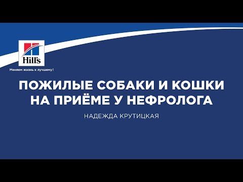 Видео: Вебинар на тему: “Пожилые собаки и кошки на приеме у нефролога”. Лектор - Надежда Крутицкая.