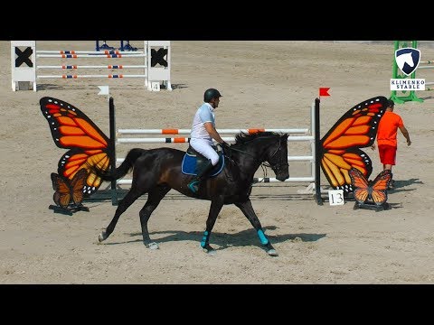 Видео: 115 см. Лошади 5-ти лет. Конкур в Днепре. КСК "Klimenko Stable". 17.06.2018 г.