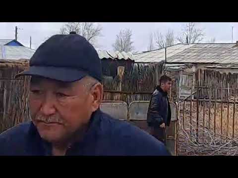 Видео: Кунград Раушан наурыз мерекесі