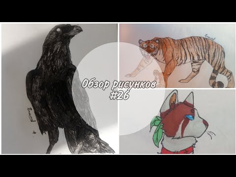 Видео: 🐾Обзор рисунков #26🐾 Коты-Воители//Животные//Ещё что то🐾
