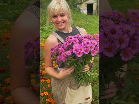 Видео: Жизнь дана нам одна,живи так как хочется тебе,а не другим ,твою жизнь за тебя никто не проживёт🤲