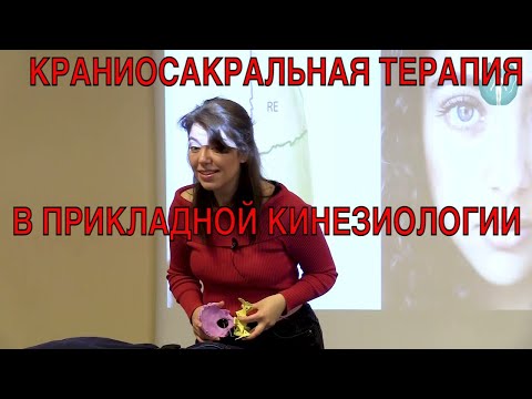 Видео: Краниосакральная терапия в прикладной кинезиологии. Институт клинической прикладной кинезиологии