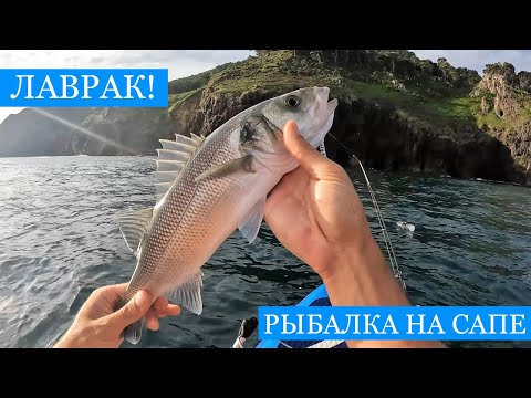 Видео: Ловля ЛАВРАКА! Сибас - СПЕЦВЫПУСК! Троллинг на сапе, нырялка и немного экзотики!)