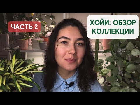 Видео: ПРОДОЛЖЕНИЕ | ХОЙИ спустя полгода | 2 часть ОБЗОРА