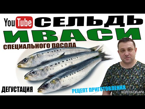 Видео: Сельдь Иваси Специального Посола как в СССР! Отличный Рецепт Приготовления! Дегустация!