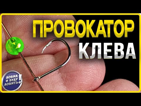 Видео: КАК ЗАСТАВИТЬ рыбу клюнуть? | Оказывается это ТАК ПРОСТО!