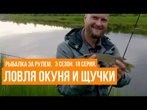 Видео: Ловля окуня и щучки \ Рыбалка за рулем \  3 сезон