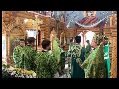 Видео: Жизнерадостный Дьяк в прямом эфире!