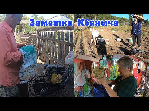 Видео: Как солим грузди, начали копать картошку