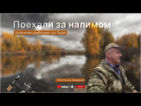 Видео: Поехали за налимом. Рыбалка на Луге.