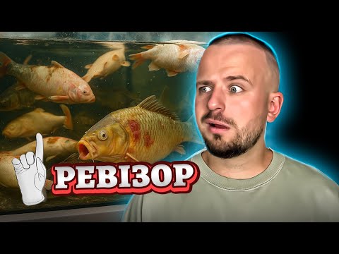 Видео: РЕВІЗОР У СУМАХ ► НАВІТЬ КОРОП БУВ В ШОЦІ