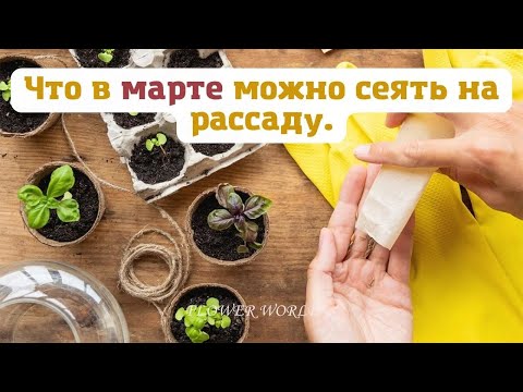 Видео: Что в марте можно сеять на рассаду.💐