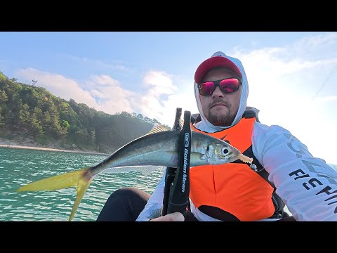 Видео: SUP Спиннинг на Черном Охота на ставриду! 🐟🎣