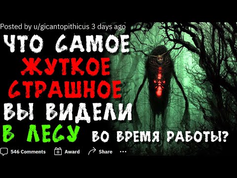Видео: ЧТО САМОЕ ЖУТКОЕ/СТРАШНОЕ ВЫ ВИДЕЛИ В ЛЕСУ ВО ВРЕМЯ РАБОТЫ? 🎄