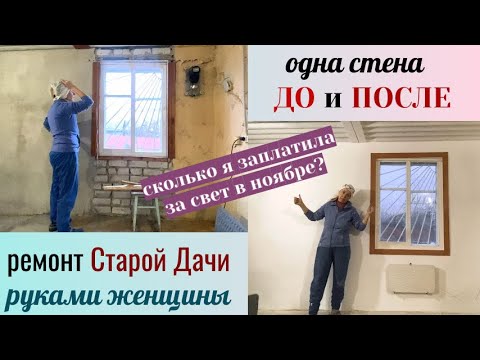 Видео: Стена до и после. Чем болеют туи?