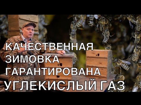 Видео: КАЧЕСТВЕННАЯ ЗИМОВКА ГАРАНТИРОВАНА, УГЛЕКИСЛЫЙ ГАЗ