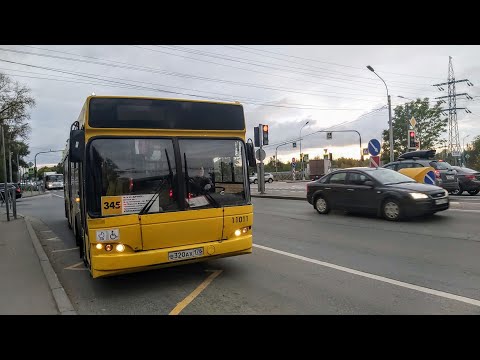 Видео: Автобус, маршрут №345 МАЗ-103.465 б.11011 (Бывший №320) (28.09.2022) Санкт-Петербург