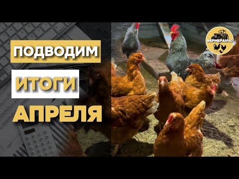 Видео: Что поменялось в нашем мини-фермерском хозяйстве за месяц? Подводим итоги АПРЕЛЯ!