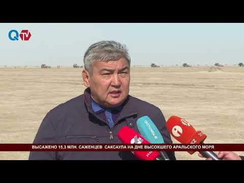 Видео: ВЫСАЖЕНО 15,3 МЛН  САЖЕНЦЕВ  САКСАУЛА НА ДНЕ ВЫСОХШЕГО АРАЛЬСКОГО МОРЯ