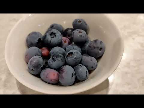 Видео: Голубика протертая с сахаром.