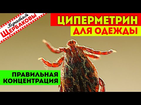 Видео: Концентрат ЦИПЕРМЕТРИНА 25% для обработки одежды от КЛЕЩЕЙ! Расчет рабочего раствора...