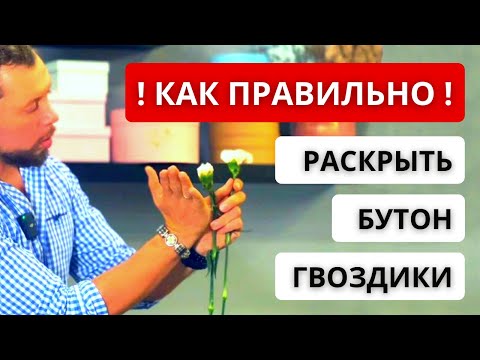 Видео: ✅ КАК ПРАВИЛЬНО РАБОТАТЬ С ГВОЗДИКОЙ (ДИАНТУС)? Как подготовить и качественно выставить гвоздику?