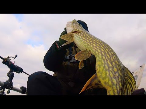 Видео: В январе на острове. Щучий полигон. Уха. Ночевка и все такое...bogomaz05