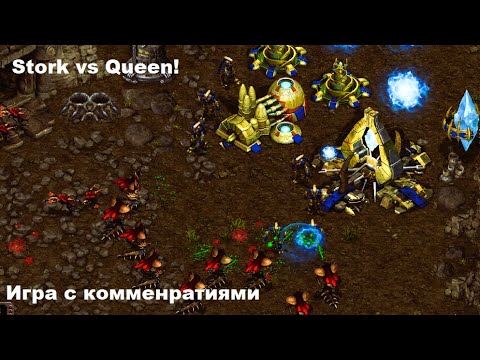 Видео: СТОРК ПРОТИВ КВИНА! АГРЕССИВНОЕ НАЧАЛО ОТ ЗЕРГА ПРОТИВ ВЕТЕРАНА СТАРКРАФТА!