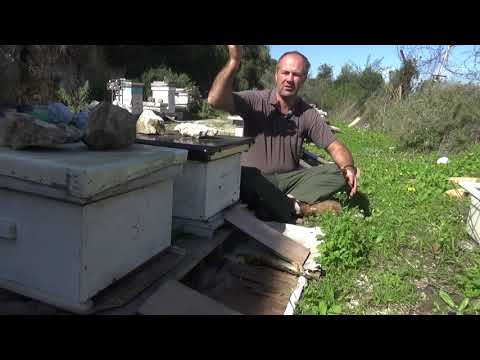 Видео: важно новичку часть 2. пчеловодство.