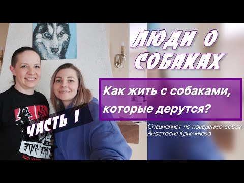 Видео: Собаки дерутся, что делать? | 1 часть интервью со специалистом по поведению собак