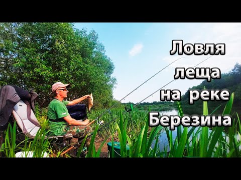 Видео: Ловля леща  на реке Березина.