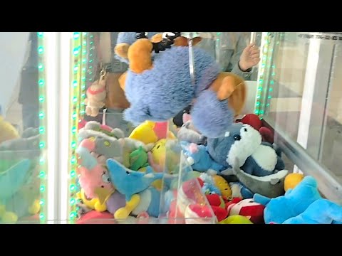 Видео: Вредный, но милый Бараш никак не хочет уходить из аппарата. Пробуем достать👍