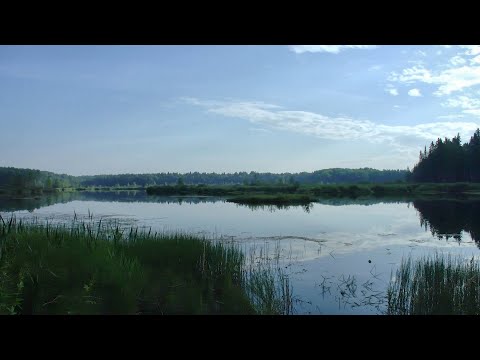 Видео: Рыбалка на озере.  Ну вот и Язь! #294