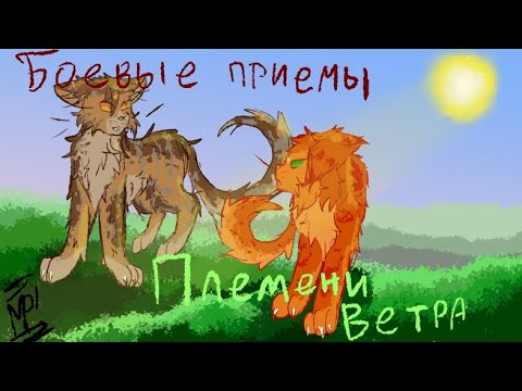 Видео: Боевые приемы | часть 3 | племя Ветра #возродимрукв