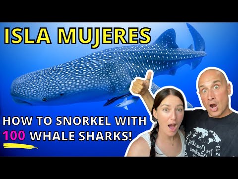 Видео: Исла Мухерес Мексика Тур 2021