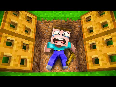 Видео: 😱 Вот Почему я ЗАТРОЛЛИЛ Нуба в Майнкрафт! Minecraft