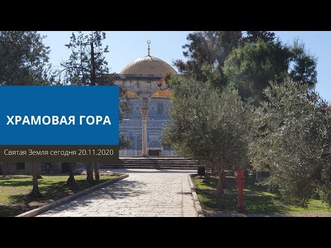 Видео: ХРАМОВАЯ ГОРА 20.11.2020