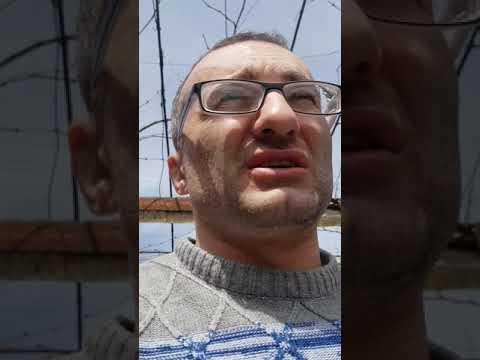 Видео: Отключаем контур на холодильнике.цена 8 тыс