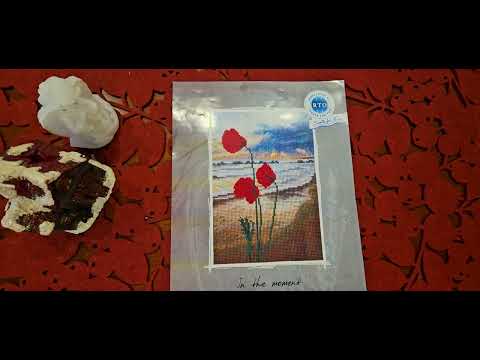 Видео: Мои вышивальные будни - Teresa Wentzler Tapestry cat и RTO В моменте