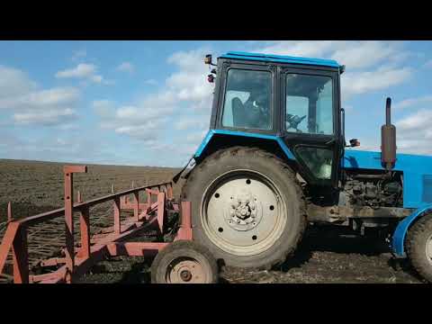 Видео: Закриття вологи зубовою бороною! - 12.03.20