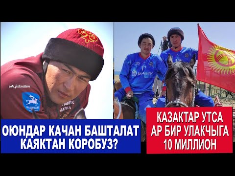 Видео: КЫРГЫЗСТАН КУРАМАСЫНЫН АТТАРЫ КАЗАКСТАНГА ЖЕТТИ/ КАЗАКСТАН КОК БОРУ УЧУН ЧОН СУММА БАЙГЕ КОЙДУ