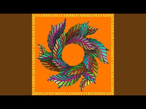 Видео: Рассветы-закаты