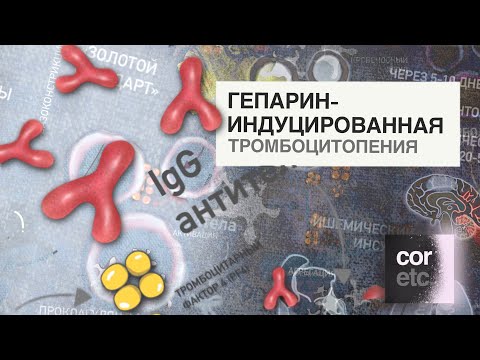 Видео: Гепарин-индуцированная тромбоцитопения.