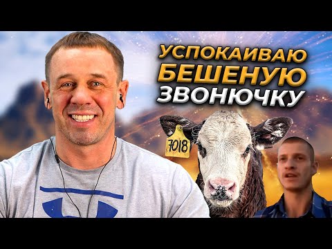 Видео: ЧЕРТИ СНОВА ЗАБИВАЮТ СТРЕЛКУ! | БАНКРОТСТВО | Кузнецов | Аллиам