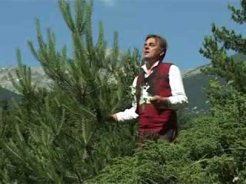 Видео: "Казъм Сафие" - Дългъча&Гайтани