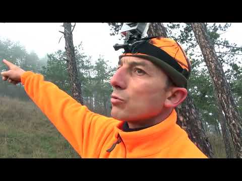 Видео: ХАЙКА ЗА ХИЩНИЦИ 111 ДРУЖИНКА КАРНОБАТ 2021