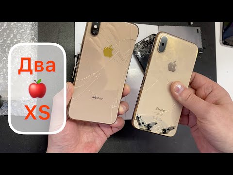 Видео: Два XS (Живчик и Тотал)